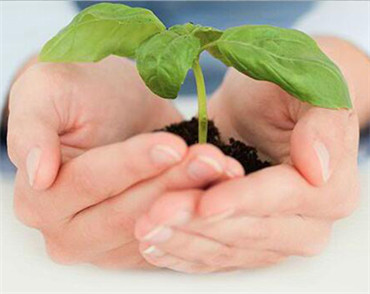 �����W(w��ng)վ���O(sh��)��˾ɣ�¼��F